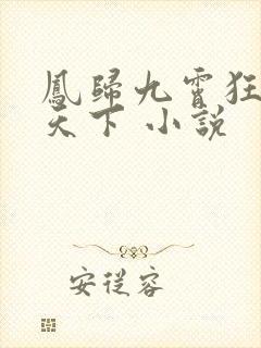 凤归九霄狂妃逆天下 小说