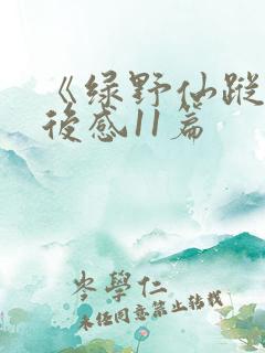《绿野仙踪》读后感11篇