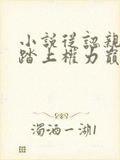 小说从认亲开始踏上权力巅峰格鱼完结版