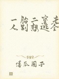 一胎二宝老婆大人别想逃全文免费阅读
