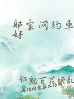 哪家网约车平台好