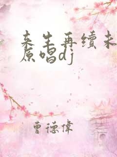 来生再续未了情原唱dj