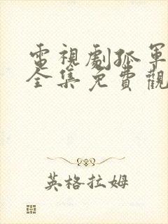 电视剧孤军英雄全集免费观看
