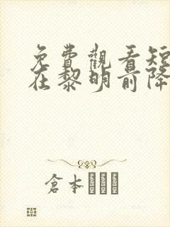 免费观看短剧爱在黎明前降落