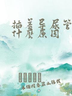 插着导尿管漏尿什么原因