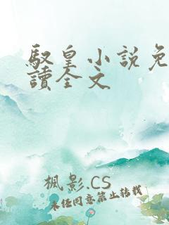 驭皇小说免费阅读全文