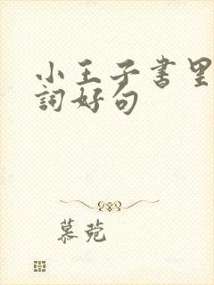 小王子书里的好词好句