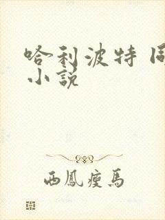 哈利波特 同人小说