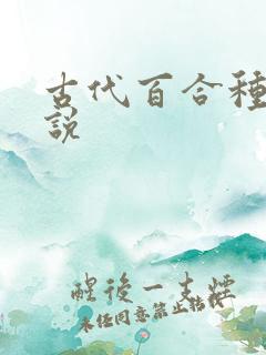 古代百合种田小说