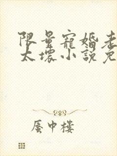 限量宠婚老公别太坏小说免费阅读