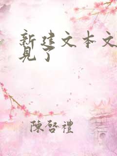 新建文本文档不见了