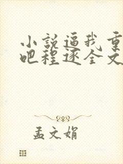 小说逼我重生是吧程逐全文下载