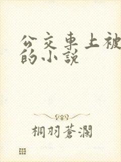 公交车上被人操的小说