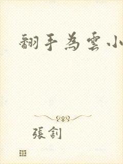 翻手为云小说