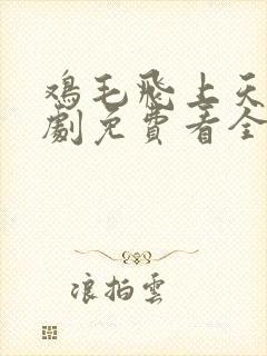 鸡毛飞上天电视剧免费看全集