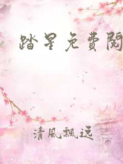 踏星免费阅读
