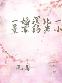 一婚还比一婚高晨雾的光小说