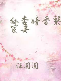 红杏暗香系列之宦妻