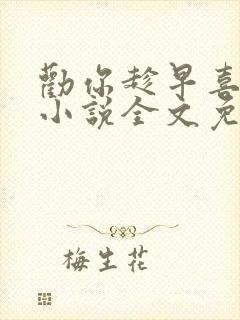 劝你趁早喜欢我小说全文免费阅读