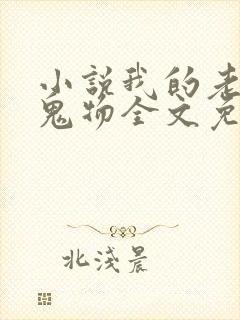 小说我的老公是鬼物全文免费阅读