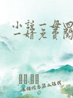 小说一母四女共一婿免费阅读