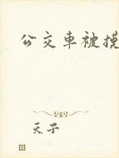 公交车被摸了