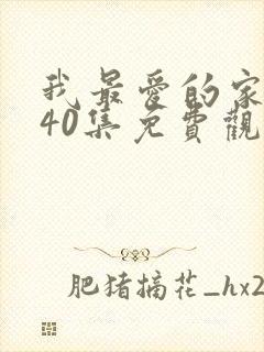 我最爱的家人第40集免费观看