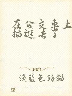在公交车上被人插进去了