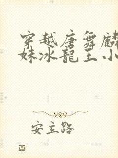 穿越唐舞麟的妹妹冰龙王小说