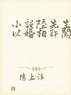 小说陆先生偏要以婚相许阅读