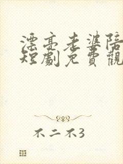 漂亮老婆陪过年短剧免费观看全集