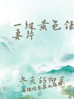 一级黄色录像夫妻片