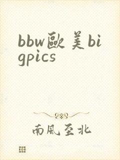 bbw欧美bigpics