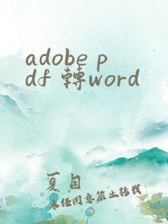adobe pdf 转word