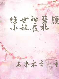 绝世神医腹黑大小姐夜北