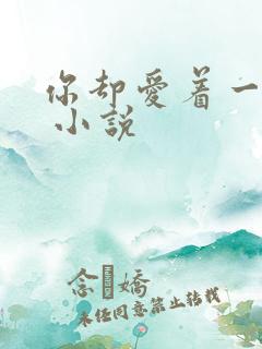 你却爱着一个他 小说