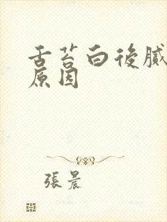 舌苔白后腻什么原因