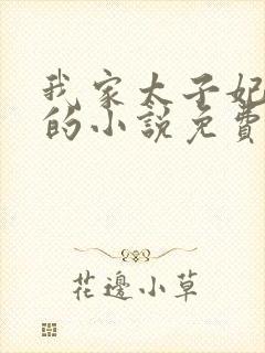 我家太子妃超凶的小说免费看
