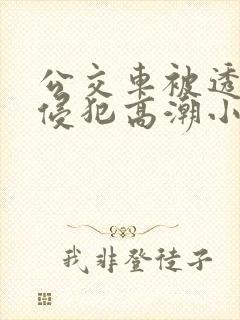 公交车被透明人侵犯高潮小说