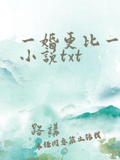 一婚更比一婚高小说txt