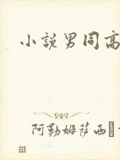 小说男同高h