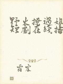 野火撩过姐姐心短剧在线播放
