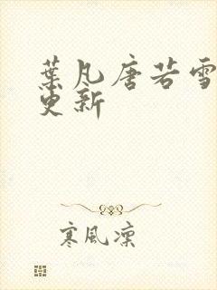 叶凡唐若雪王婿更新
