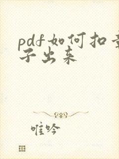 pdf如何扣章子出来