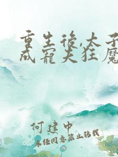 重生后,太子妃成宠夫狂魔了