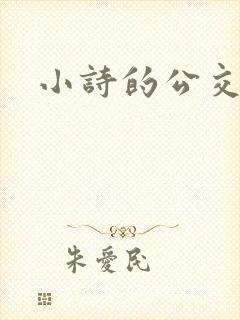 小诗的公交车