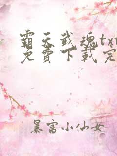 霸天武魂txt免费下载完本