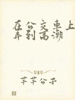 在公交车上被人弄到高潮