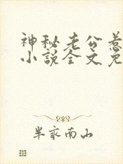 神秘老公惹不起小说全文免费阅读
