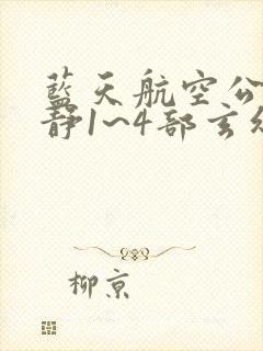 蓝天航空公司王静1~4部玄幻小说